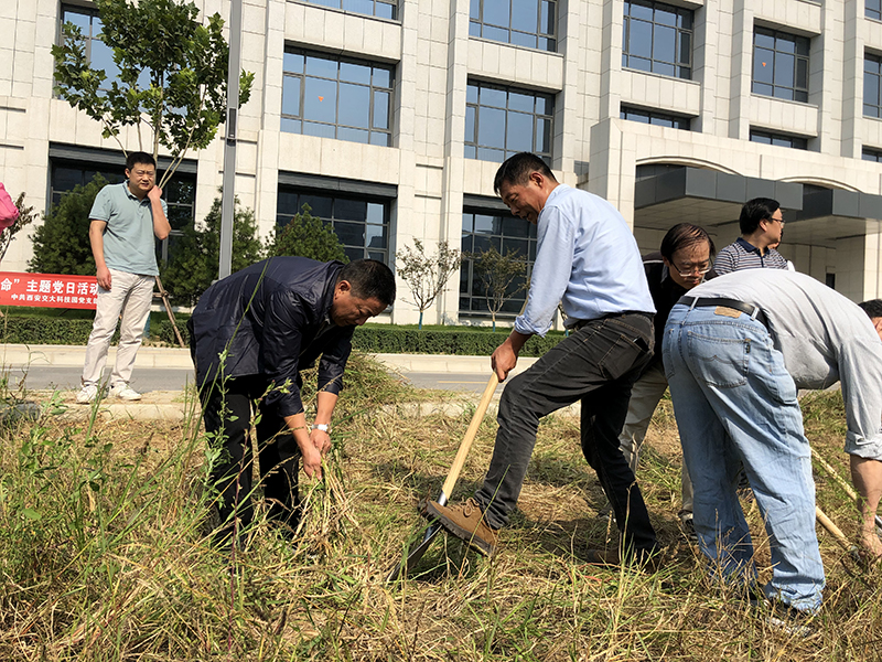 科技园党支部前往创新港开展义务劳动活动