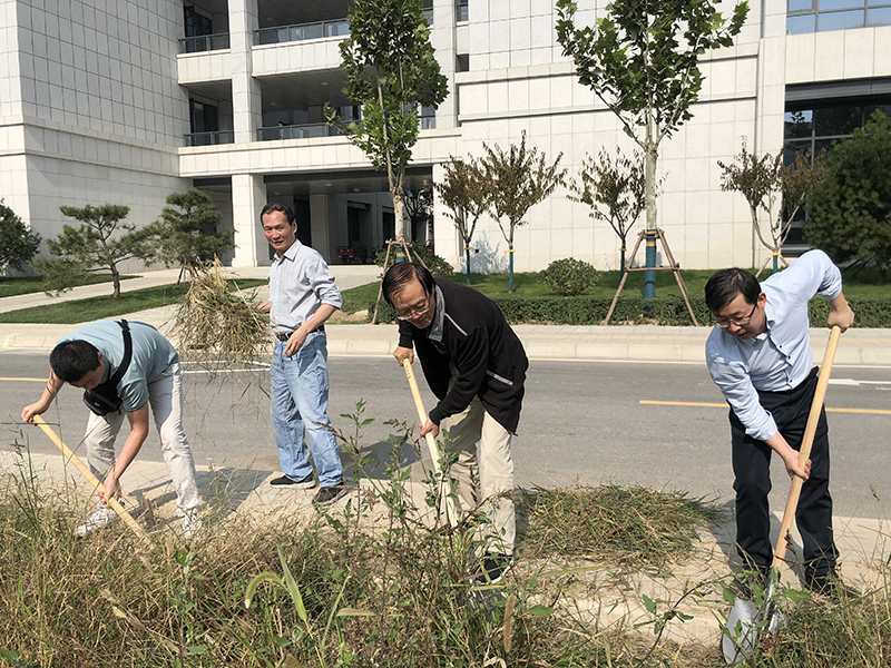 科技园党支部前往创新港开展义务劳动活动